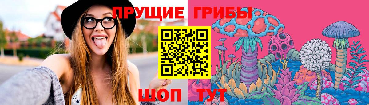 Псилоцибиновые грибы GOLDEN TEACHER Великий Устюг